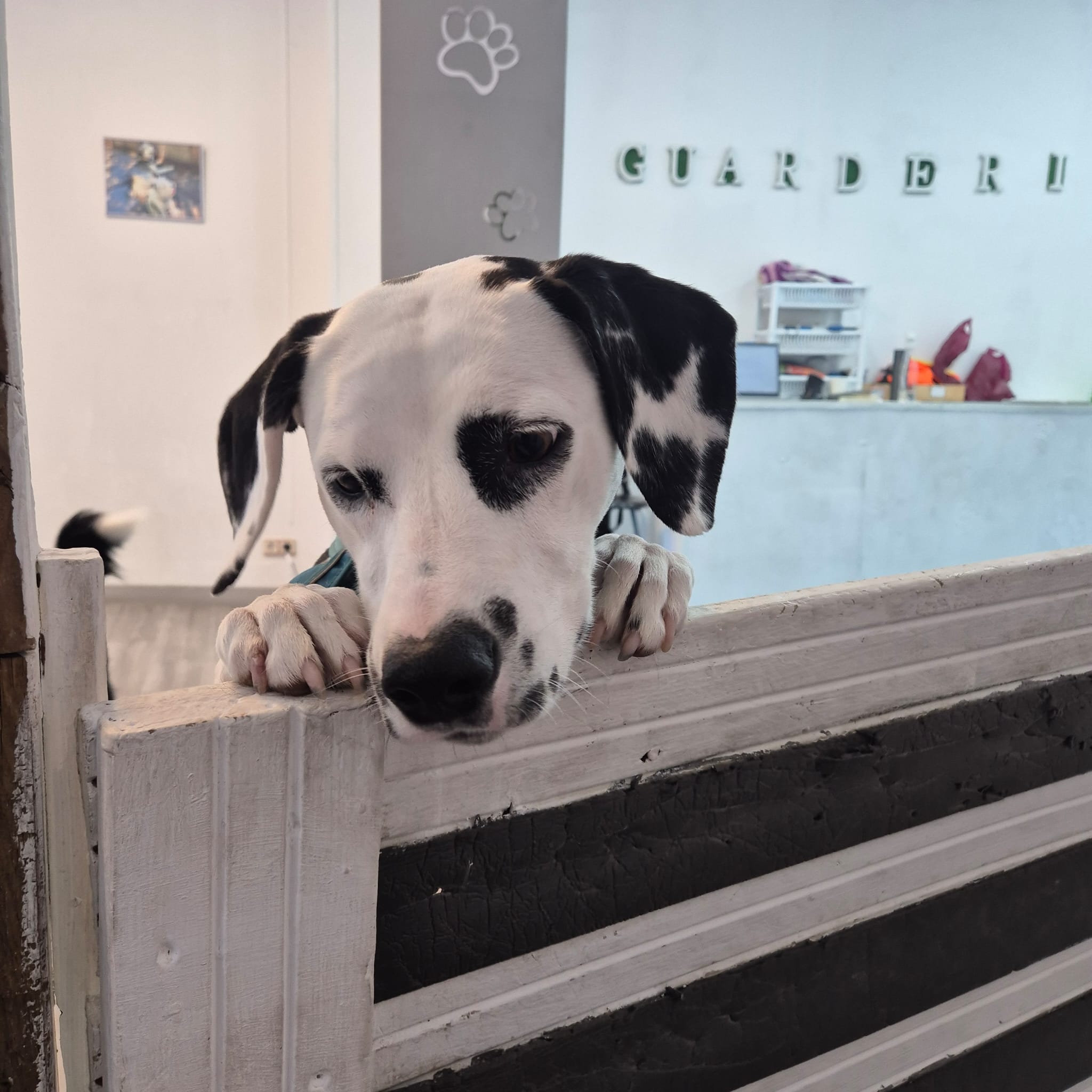 Imagen de WhatsApp 2025-05-28 a las 15.57.39_fac24689